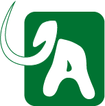 logo_antipa_mamut